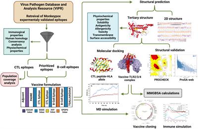 Contriving multi-epitope vaccine ensemble for monkeypox disease using an <mark class="highlighted">immunoinformatics</mark> approach